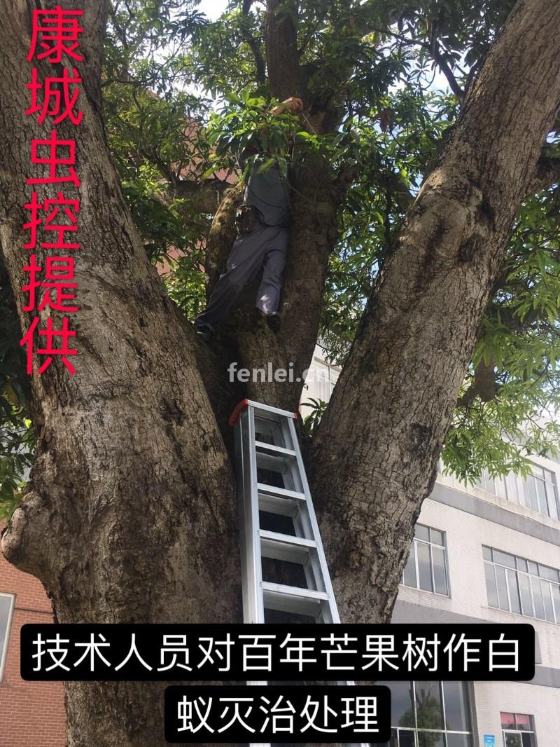 肇庆除四害(肇庆除四害政府部门是不收费用的吗?)